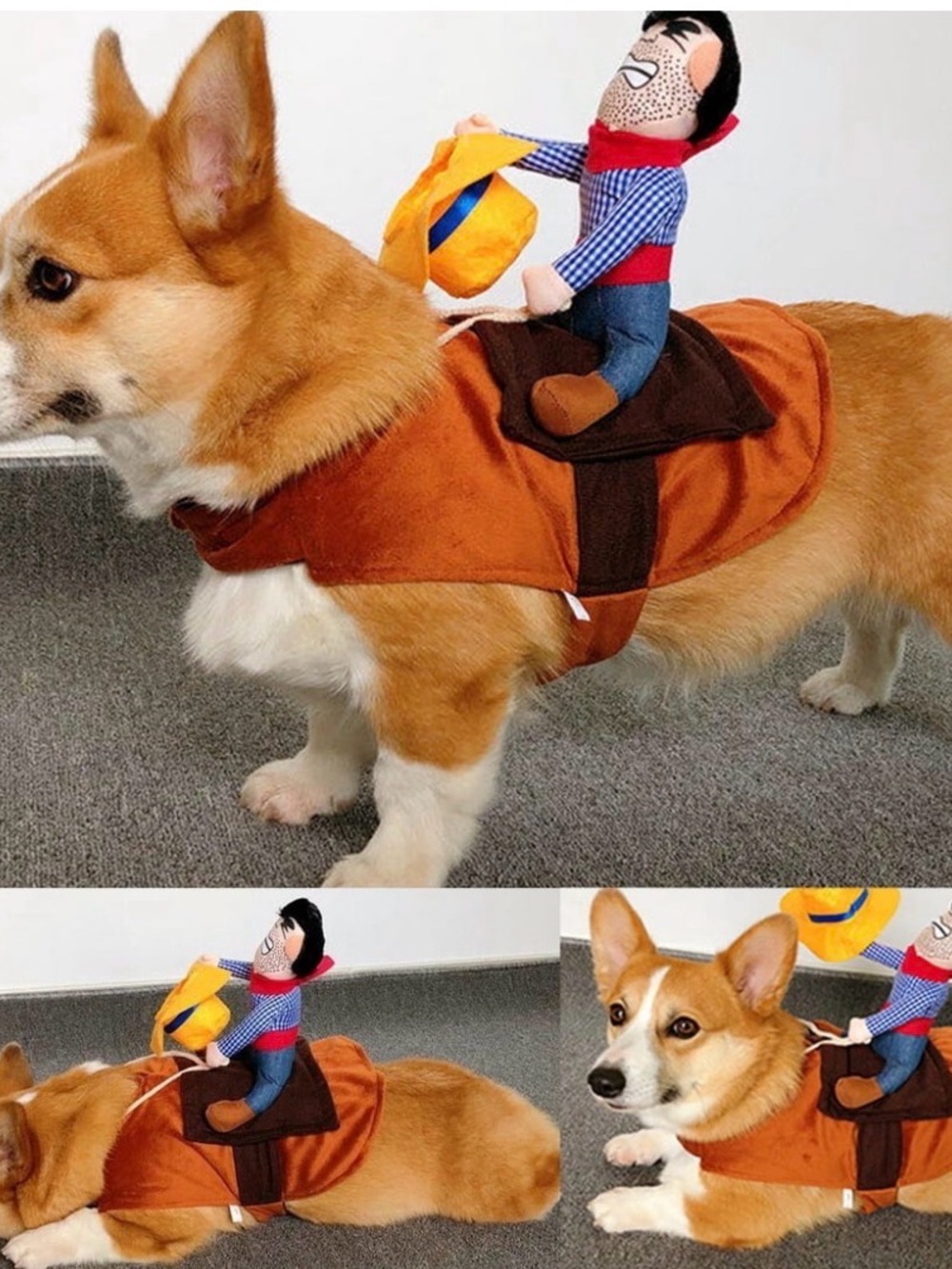 Pet Cowboy Riding Costume - Size S - Picture 4 of 4